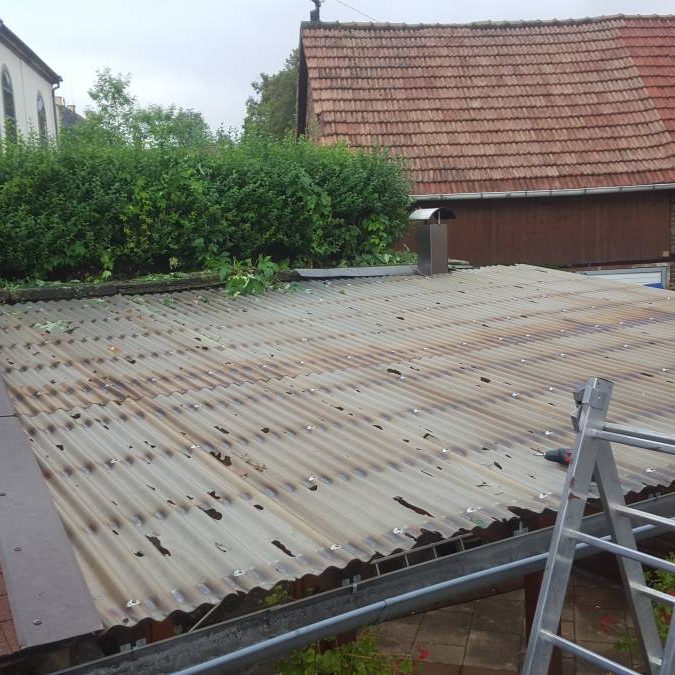 remplacement de panneaux transparents Bischwiller 0