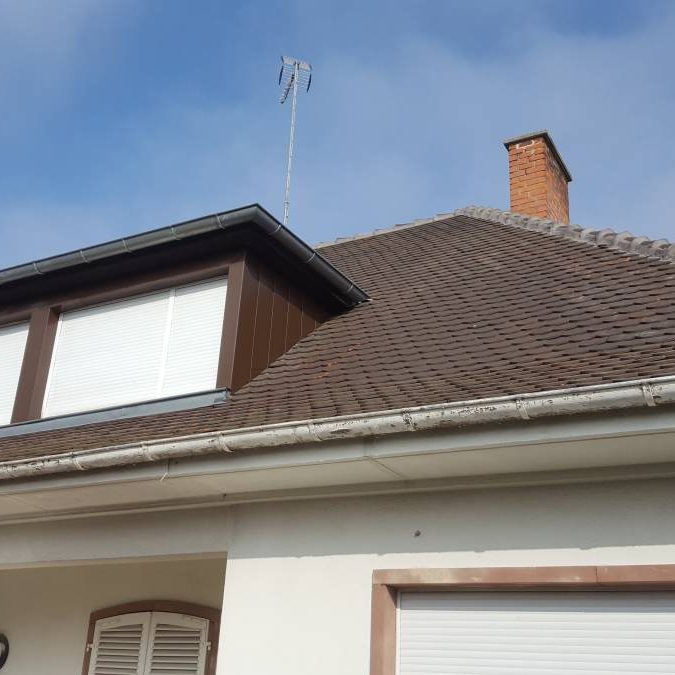 habillage de chien assis Lingolsheim 2